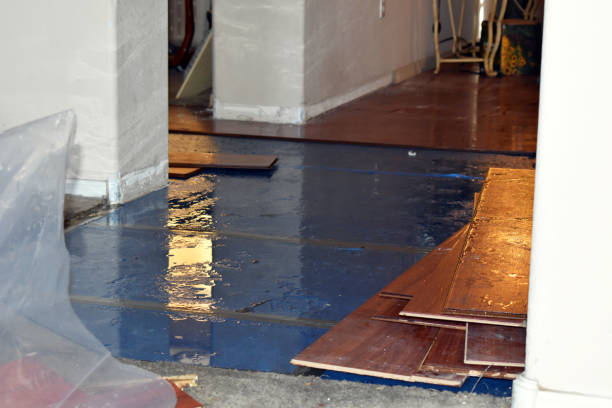 Professional Sewage Cleanup technician working in Wallisville, TX